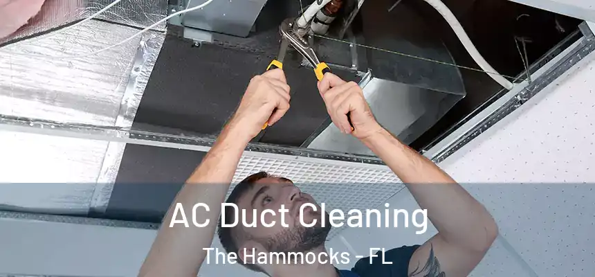  AC Duct Cleaning The Hammocks - FL