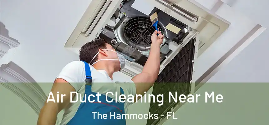 Air Duct Cleaning Near Me The Hammocks - FL