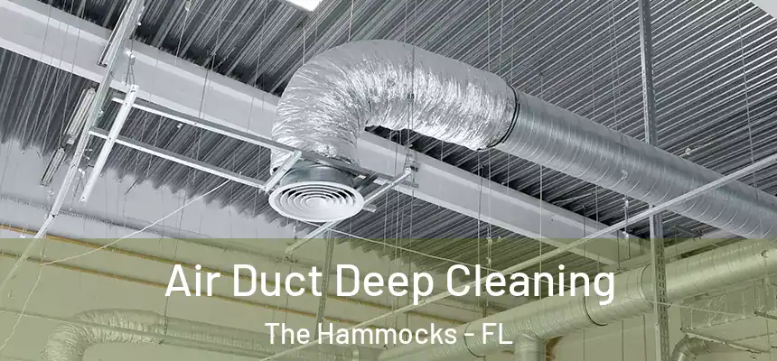 Air Duct Deep Cleaning The Hammocks - FL