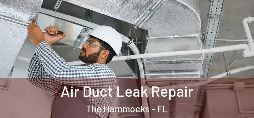 Air Duct Leak Repair The Hammocks - FL
