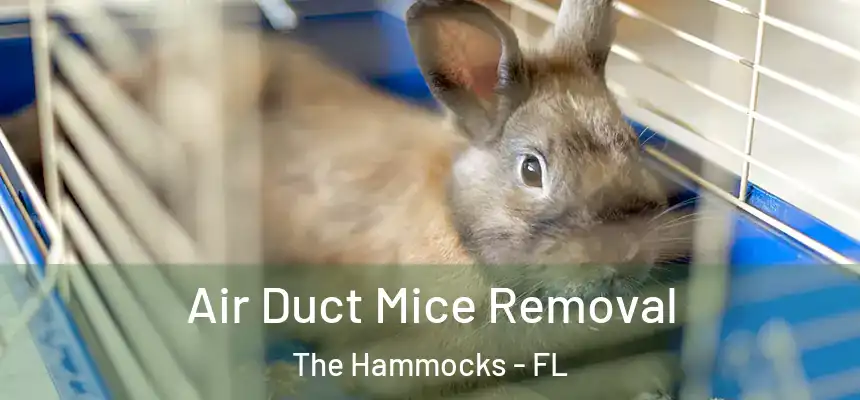 Air Duct Mice Removal The Hammocks - FL