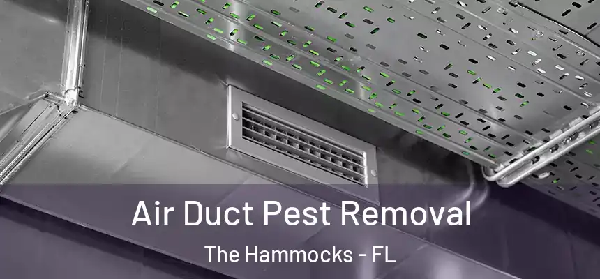 Air Duct Pest Removal The Hammocks - FL