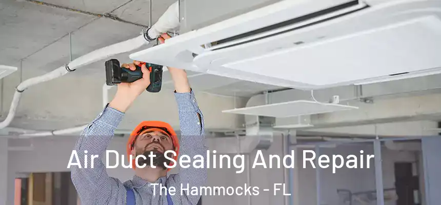 Air Duct Sealing And Repair The Hammocks - FL