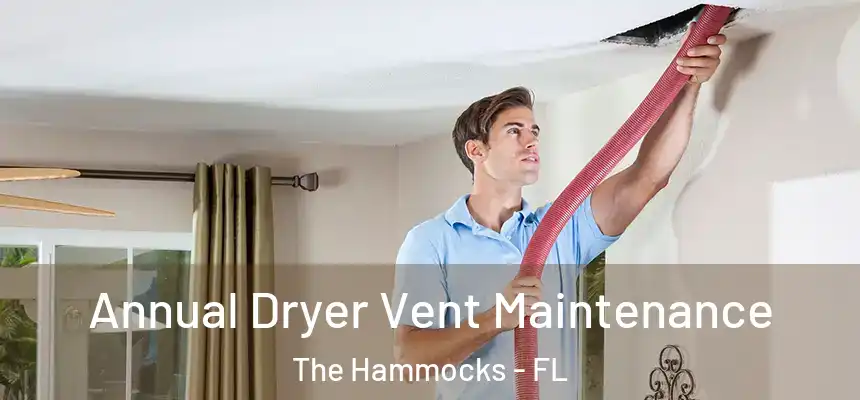 Annual Dryer Vent Maintenance The Hammocks - FL