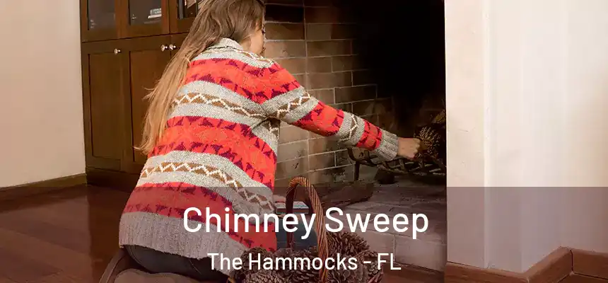  Chimney Sweep The Hammocks - FL