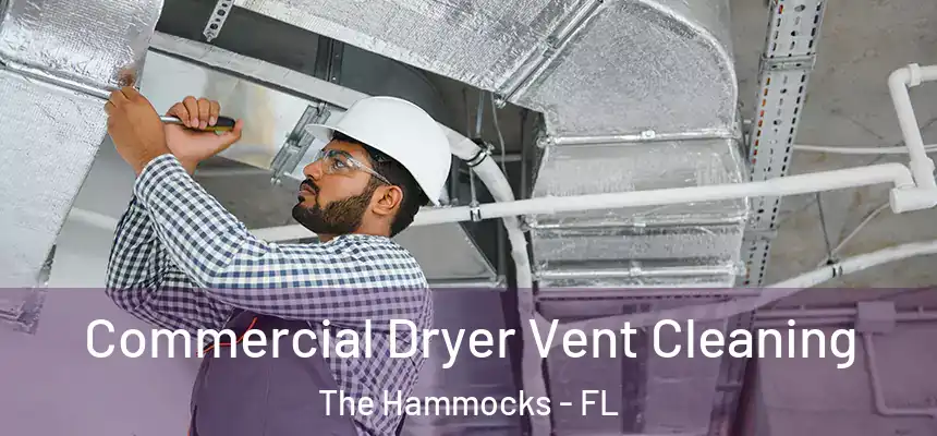 Commercial Dryer Vent Cleaning The Hammocks - FL
