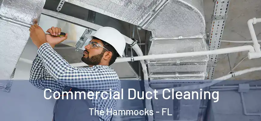 Commercial Duct Cleaning The Hammocks - FL