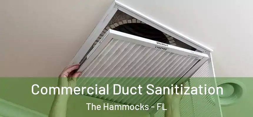Commercial Duct Sanitization The Hammocks - FL