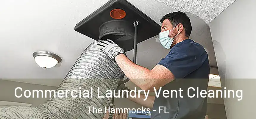 Commercial Laundry Vent Cleaning The Hammocks - FL
