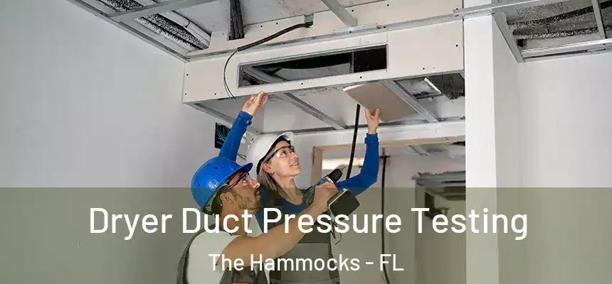 Dryer Duct Pressure Testing The Hammocks - FL