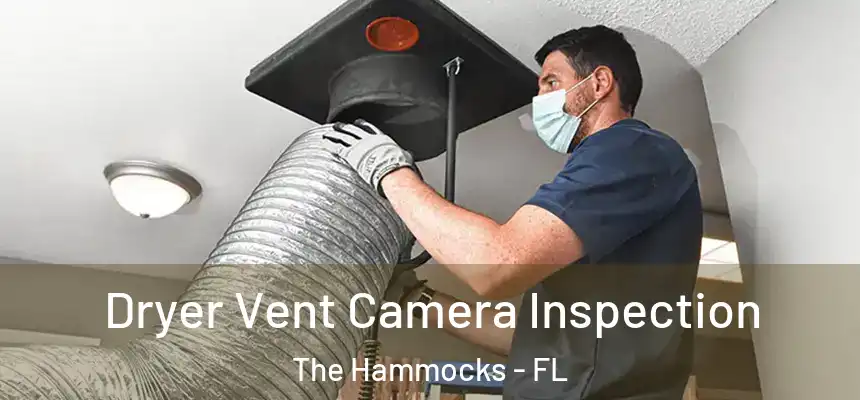 Dryer Vent Camera Inspection The Hammocks - FL