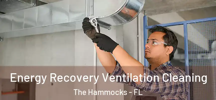 Energy Recovery Ventilation Cleaning The Hammocks - FL