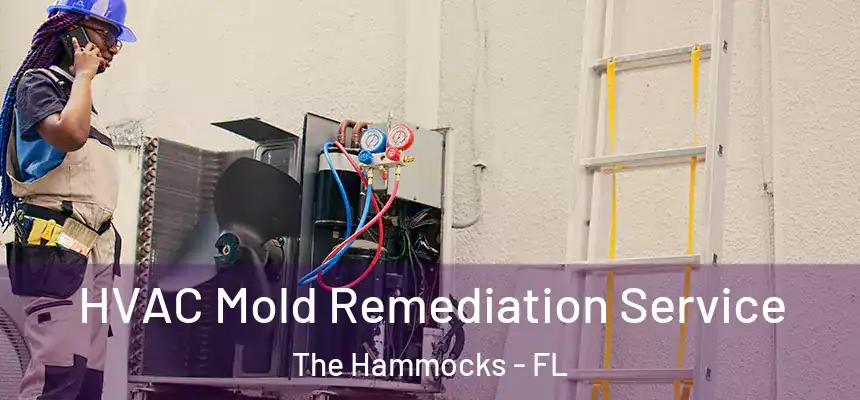 HVAC Mold Remediation Service The Hammocks - FL