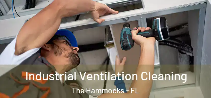 Industrial Ventilation Cleaning The Hammocks - FL