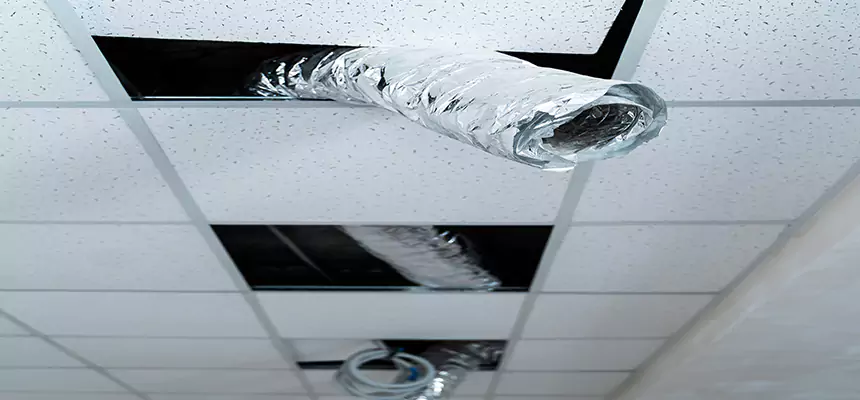 Our Air Duct Pet Hair Removal Services in The Hammocks, FL