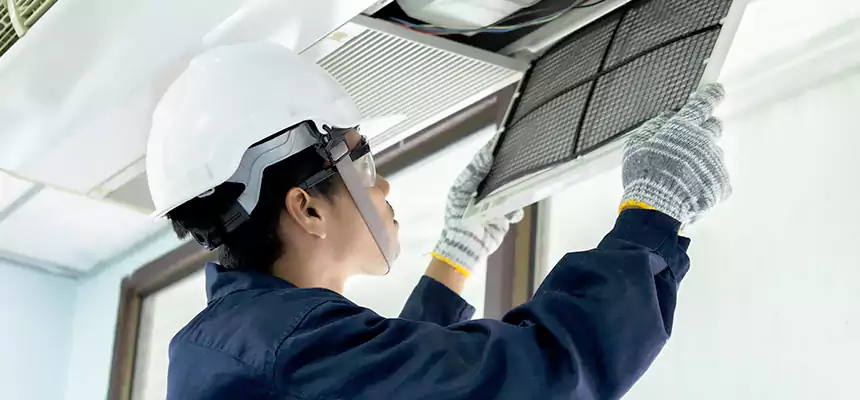 Our Mold & Mildew Removal from Air Ducts Services in The Hammocks, FL