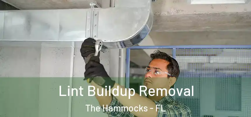 Lint Buildup Removal The Hammocks - FL