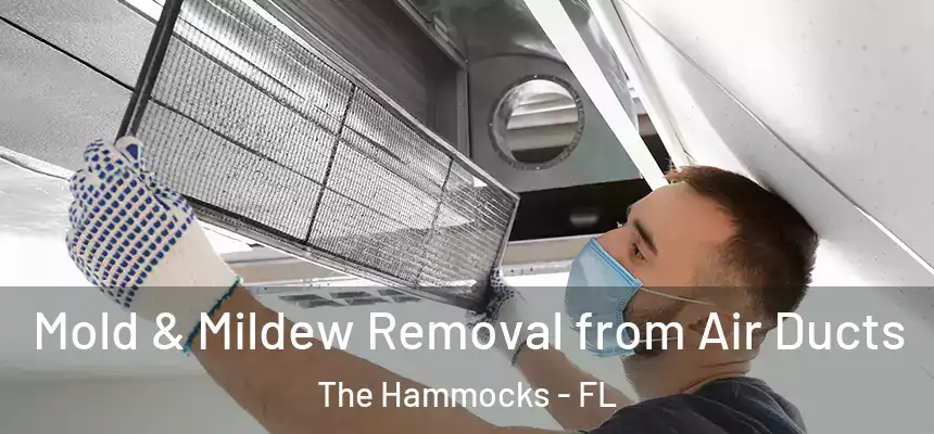 Mold & Mildew Removal from Air Ducts The Hammocks - FL