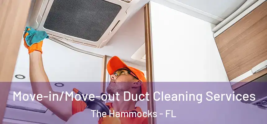 Move-in/Move-out Duct Cleaning Services The Hammocks - FL