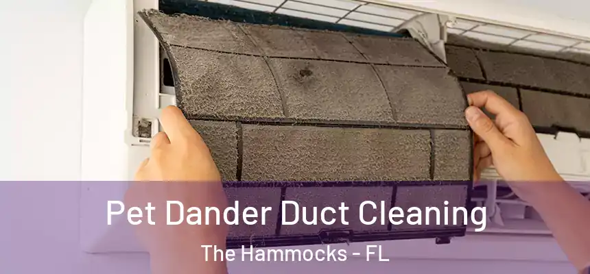 Pet Dander Duct Cleaning The Hammocks - FL