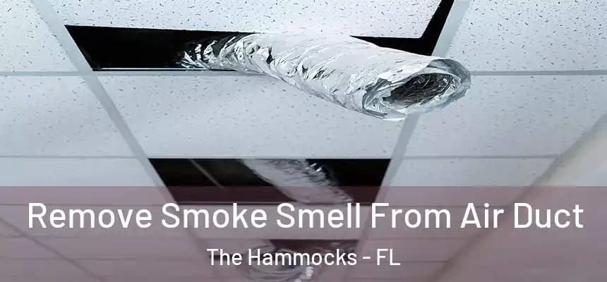 Remove Smoke Smell From Air Duct The Hammocks - FL