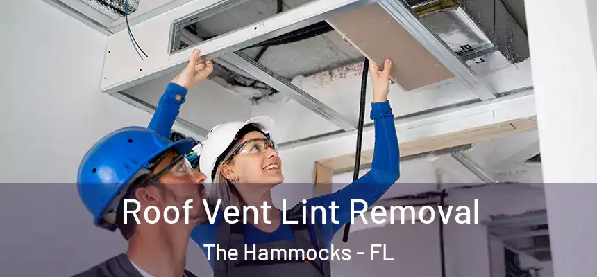 Roof Vent Lint Removal The Hammocks - FL