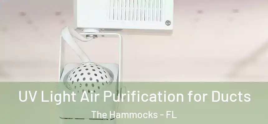 UV Light Air Purification for Ducts The Hammocks - FL
