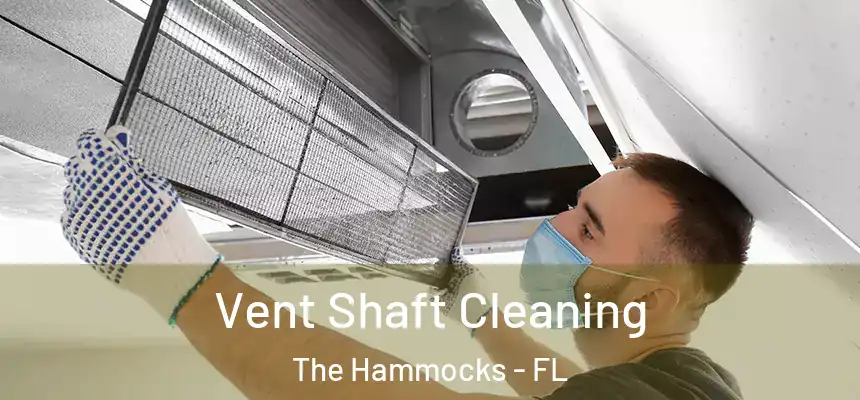 Vent Shaft Cleaning The Hammocks - FL