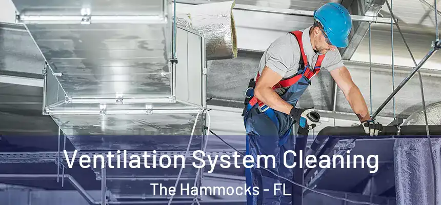 Ventilation System Cleaning The Hammocks - FL